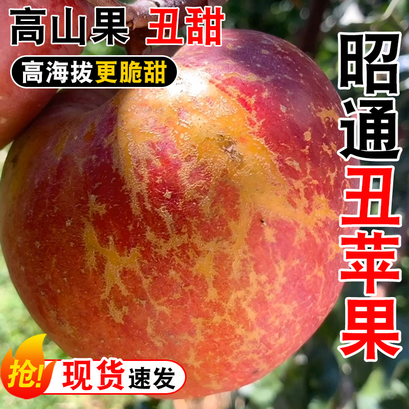云南昭通丑苹果冰糖心苹果水果新鲜脆甜10斤红富士当季整箱包邮1