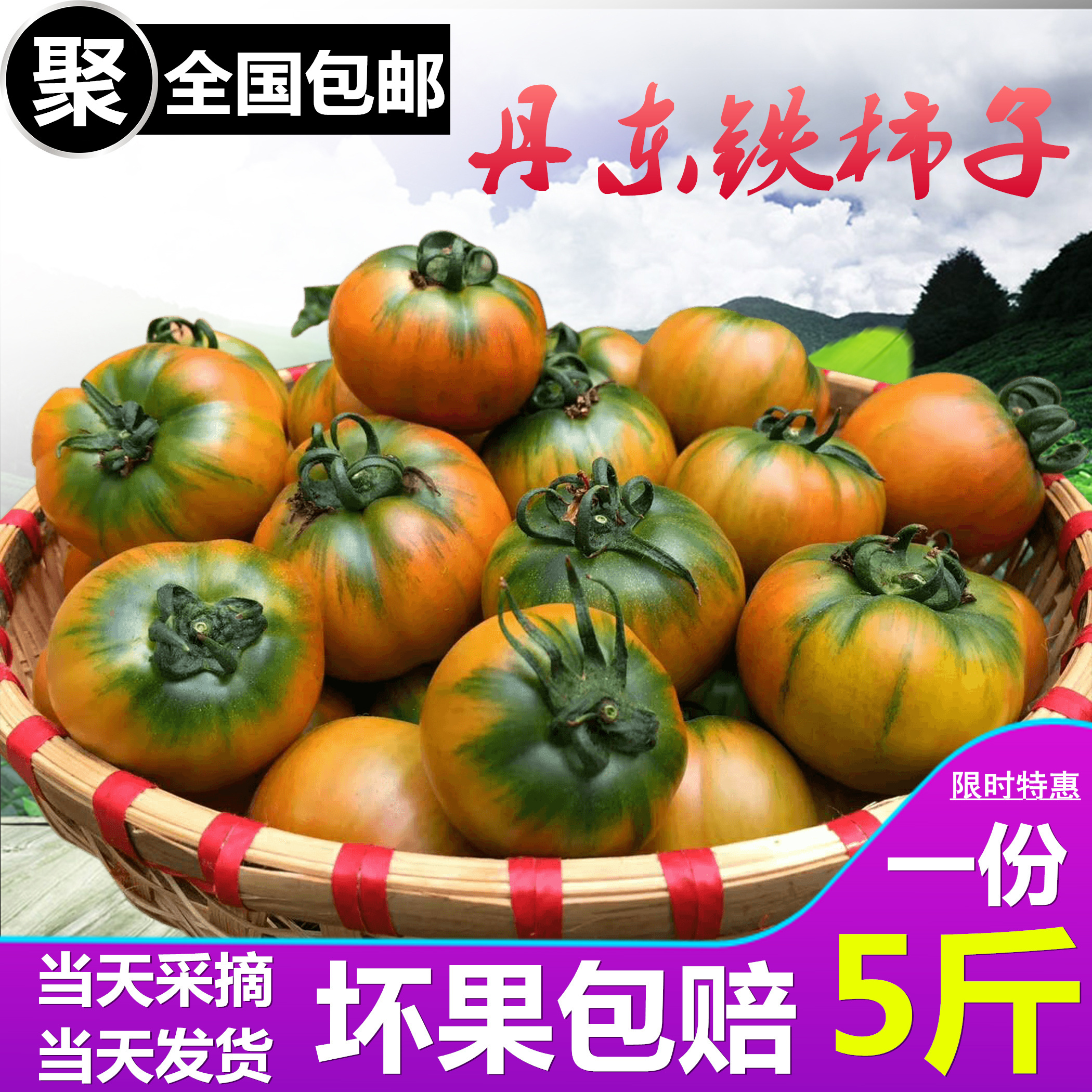 5斤包邮丹东特产草莓柿子铁柿子油柿子碱地番茄灯笼果绿定柿子