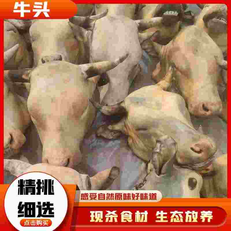 退火烧毛牛头新鲜带舌头正宗贵州当地安顺小黄牛整个牛头20-25斤