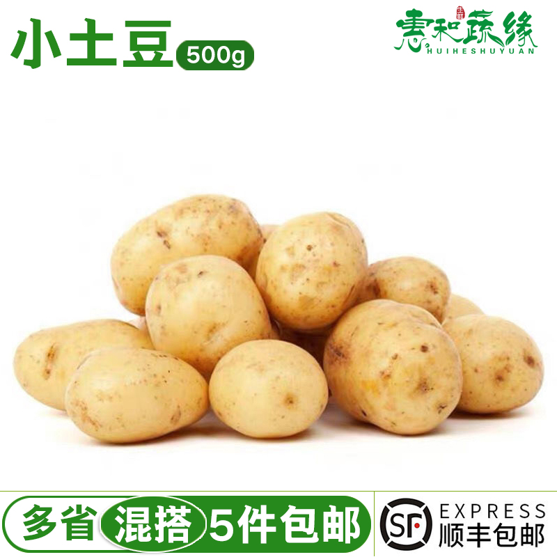 小土豆新鲜马铃薯迷你小土豆农家自种洋芋黄心土豆500g