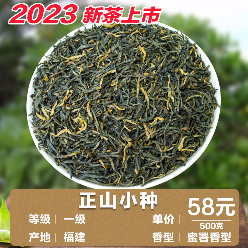 红茶茶叶2023新茶带黄芽正山小种浓香 蜜香型散装500克高山野生茶