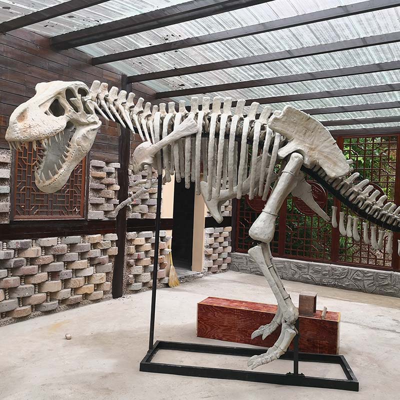 大型仿真恐龙骨架化石骨骼骨头树脂博物馆广场定制标本霸王龙摆件