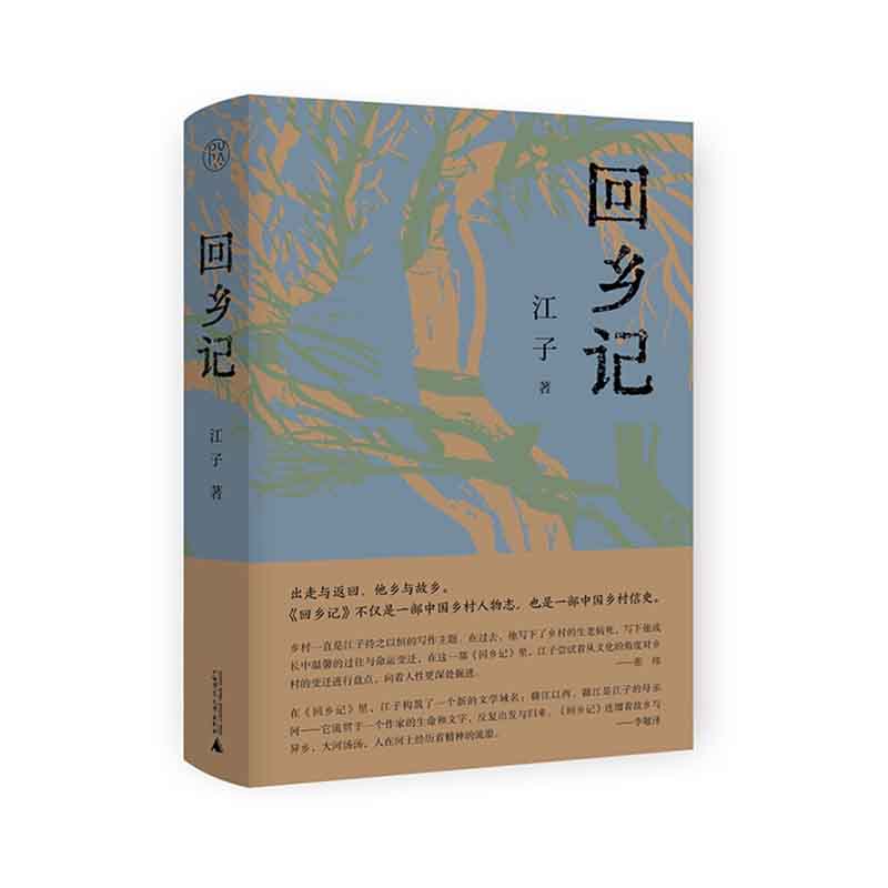 回乡记 江子 著 广西师范大学出版社 新华书店正版图书