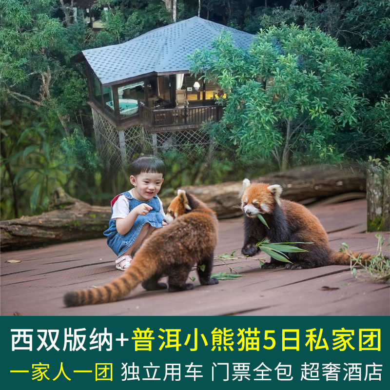 云南西双版纳普洱小熊猫庄园旅游5天4晚当地私家团2人一团5星酒店