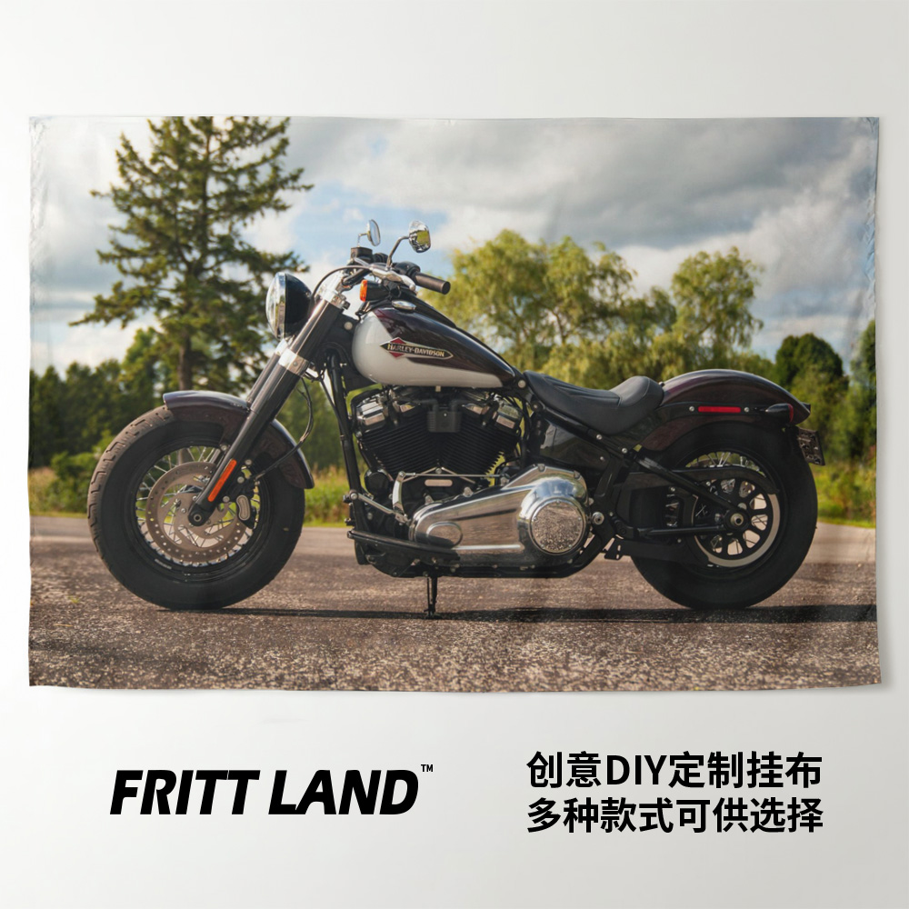 哈雷SOFTAIL STANDARD美式肌肉摩托机车周边装饰背景墙布挂布海报