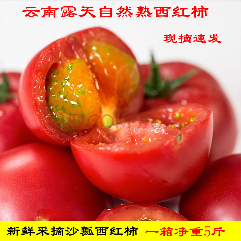 西红柿云南露天沙瓤番茄农户种植自然成熟普罗旺斯生吃番茄包邮