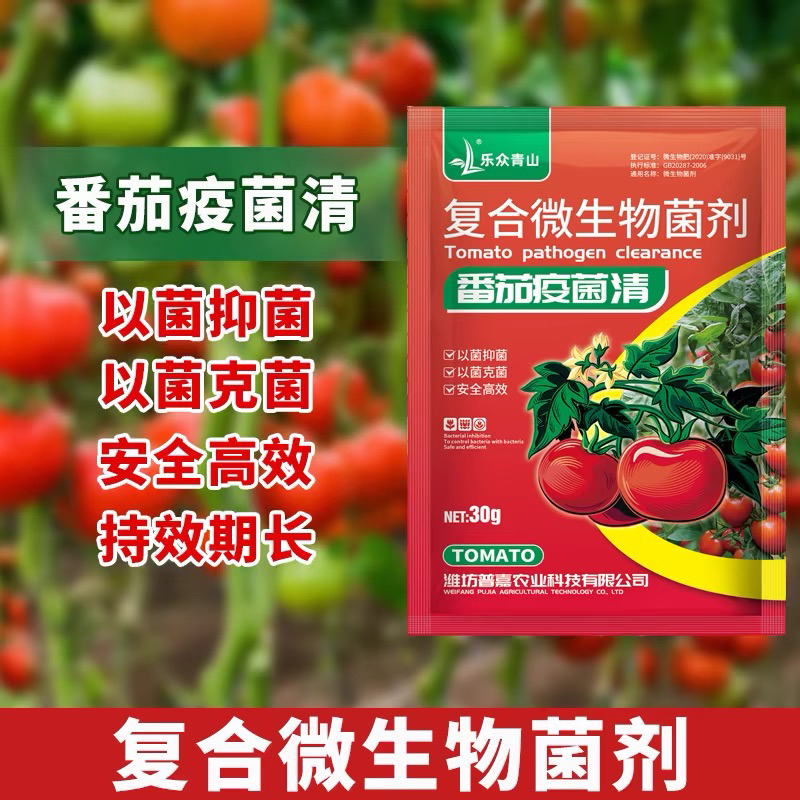 西红柿番茄疫菌清抑菌病菌清病毒病专用药复合微生物杀菌剂叶面肥