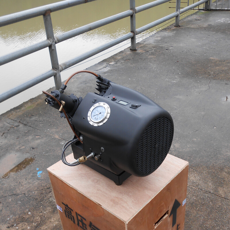 双缸水冷高压打气机打气泵40mpa电动高压充气泵30mpa小型