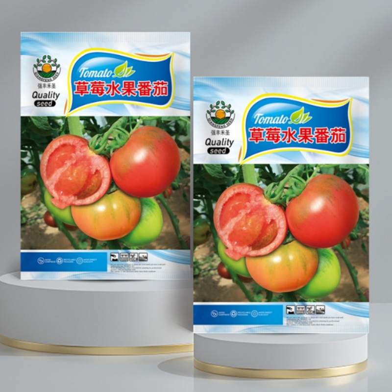 草莓铁皮水果番茄种子超甜番茄苗东北铁皮柿子种籽阳台春秋冬四季