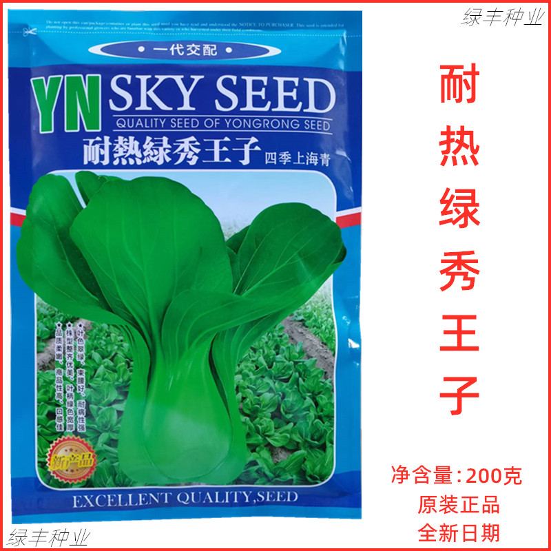 耐热绿秀王子青梗菜种子四季上海青小白菜种籽春夏秋冬季蔬菜种孑