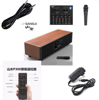 Sansui/山水 P300配件遥控器P500话筒充电器电源线连接线评书戏卡