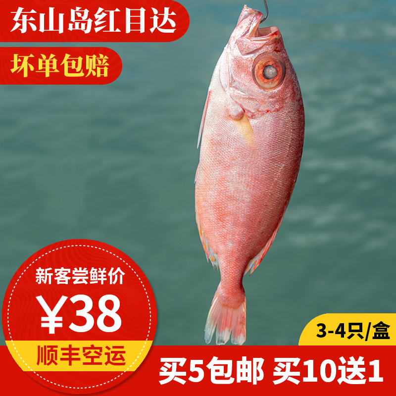 红目达 2-3只 500g 东山岛海鲜  海捕鲜活红目连鱼 新鲜野生海鱼