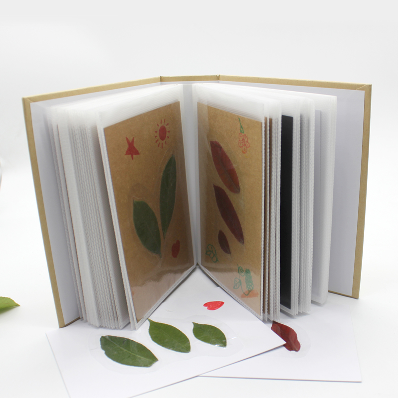 树叶标本册植物风景画收集干花DIY手工制作创意DIY
