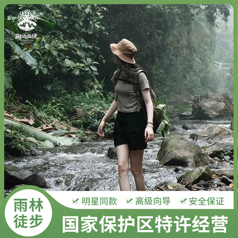 [西双版纳热带雨林国家公园勐远仙境-雨林穿越+网红簸箕餐]雨林徒步穿越中国亚马逊雨林