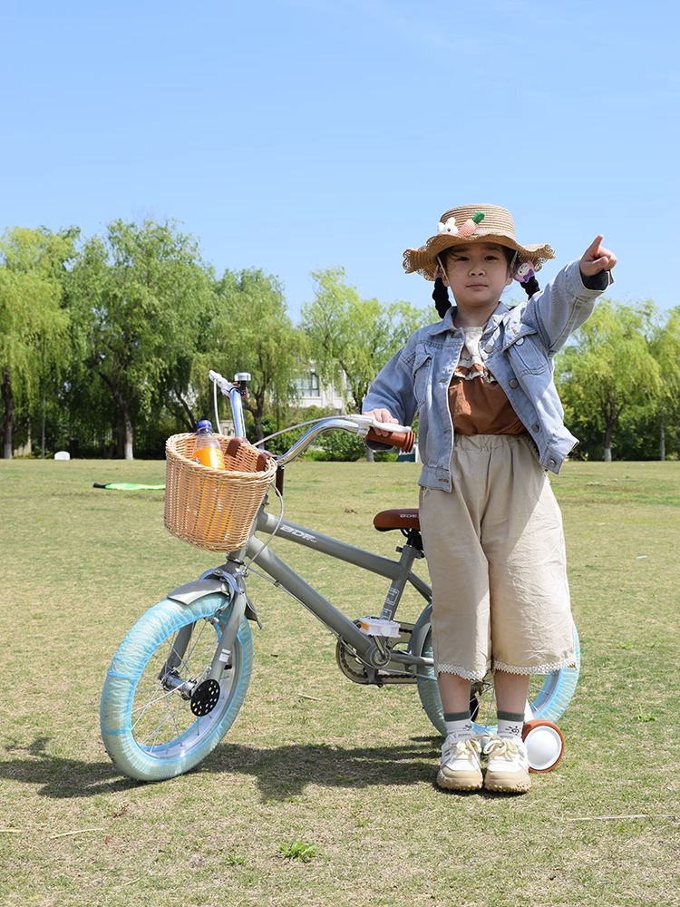定制2023韩版贝多福儿童自行车女孩3岁4-6-8岁宝宝脚踏车女童车公