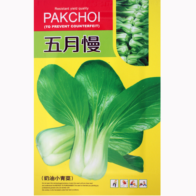 五月慢青菜种子上海青青菜种籽四月慢青菜籽油菜种籽四季蔬菜种子