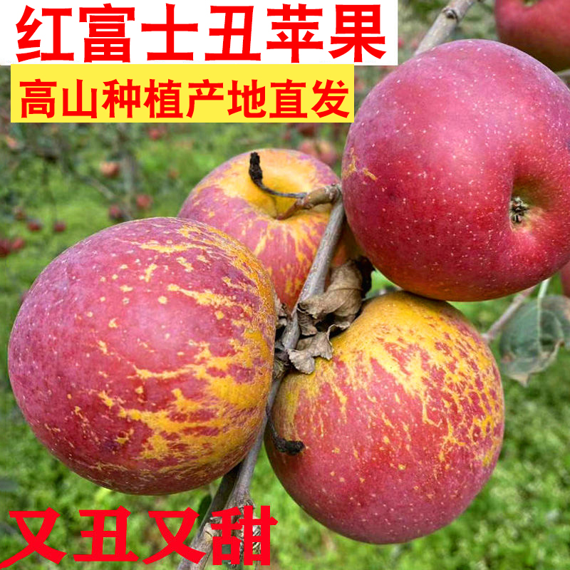 苹果水果云南昭通市丑红富士冰糖心苹果新鲜水当季整箱绍通孕妇1