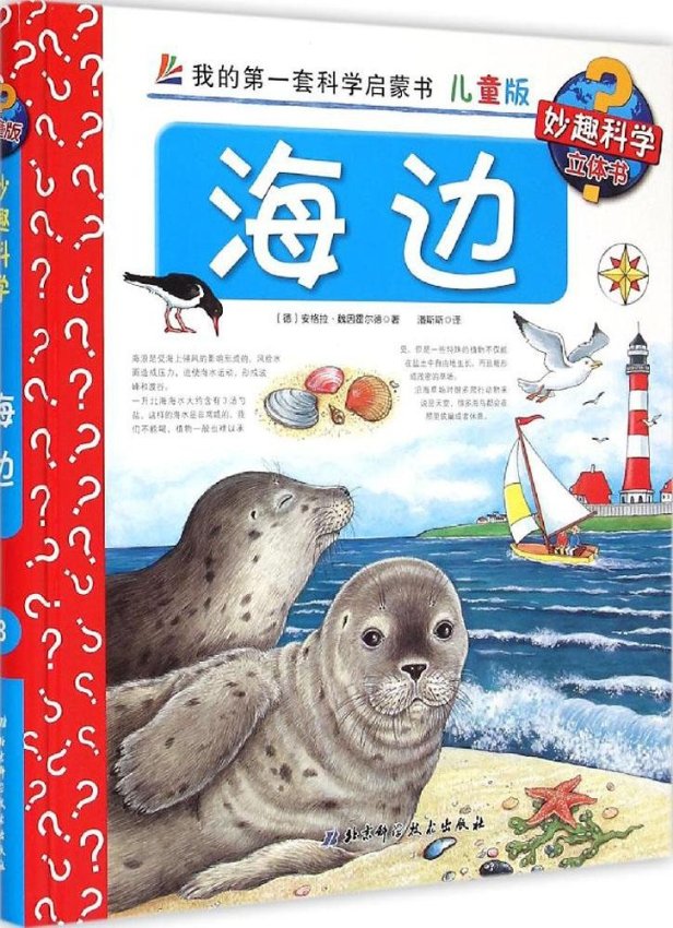 【正版包邮】 海边（儿童版） 安格拉·魏因霍尔德 北京科学技术出版社