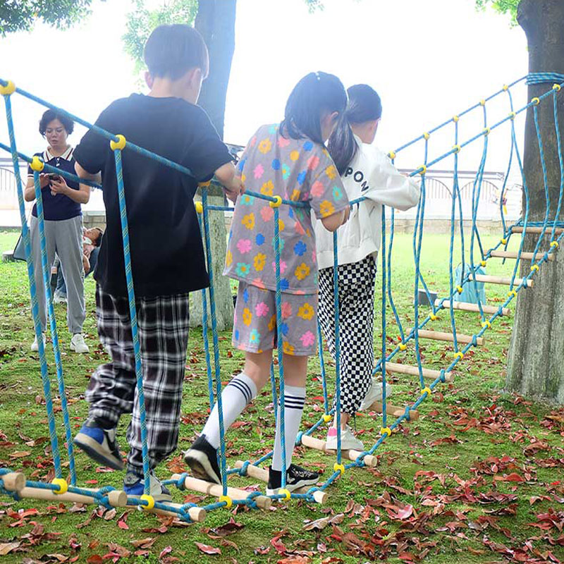 幼儿园儿童户外荡桥平衡感统训练器材体适能攀爬木云梯独木桥吊桥