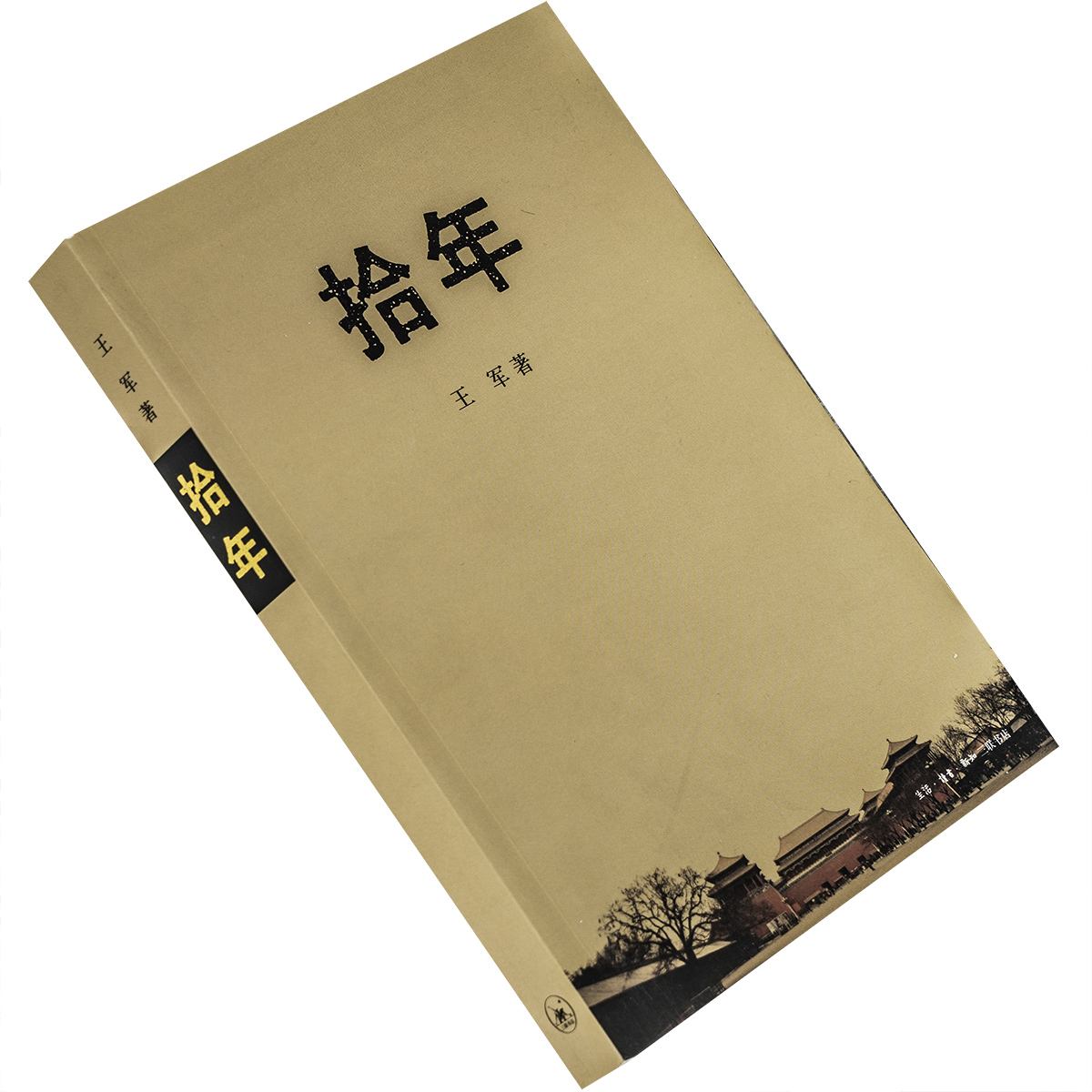 拾年 王军 北京 城记 中国城市发展三部曲 三联书店 正版书籍 老版