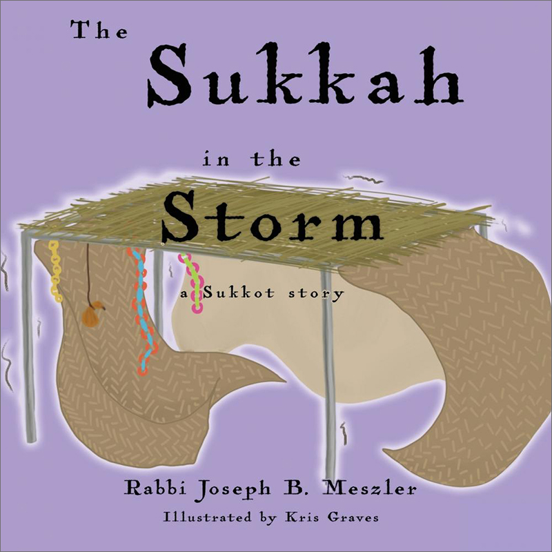 预售 按需印刷  The Sukkah in the Storm