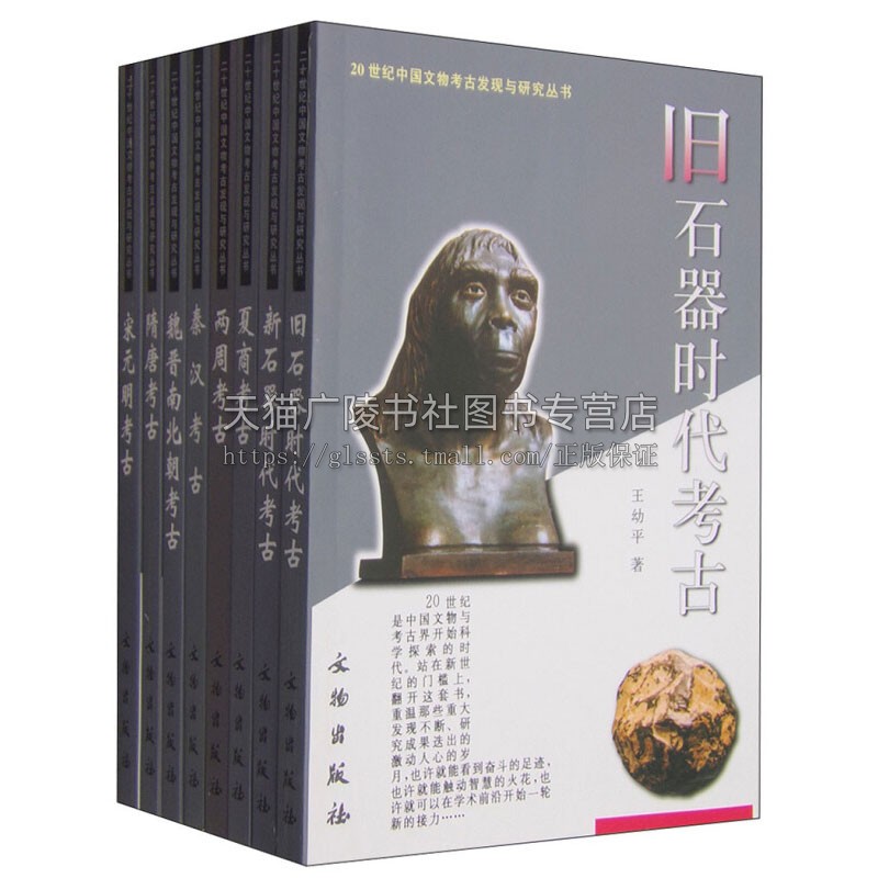 20世纪中国文物考古发现与研究丛书 一辑 综述 套装全8册 二十世纪历史考古理论书籍 经典著作 畅销 正版 文物出版社