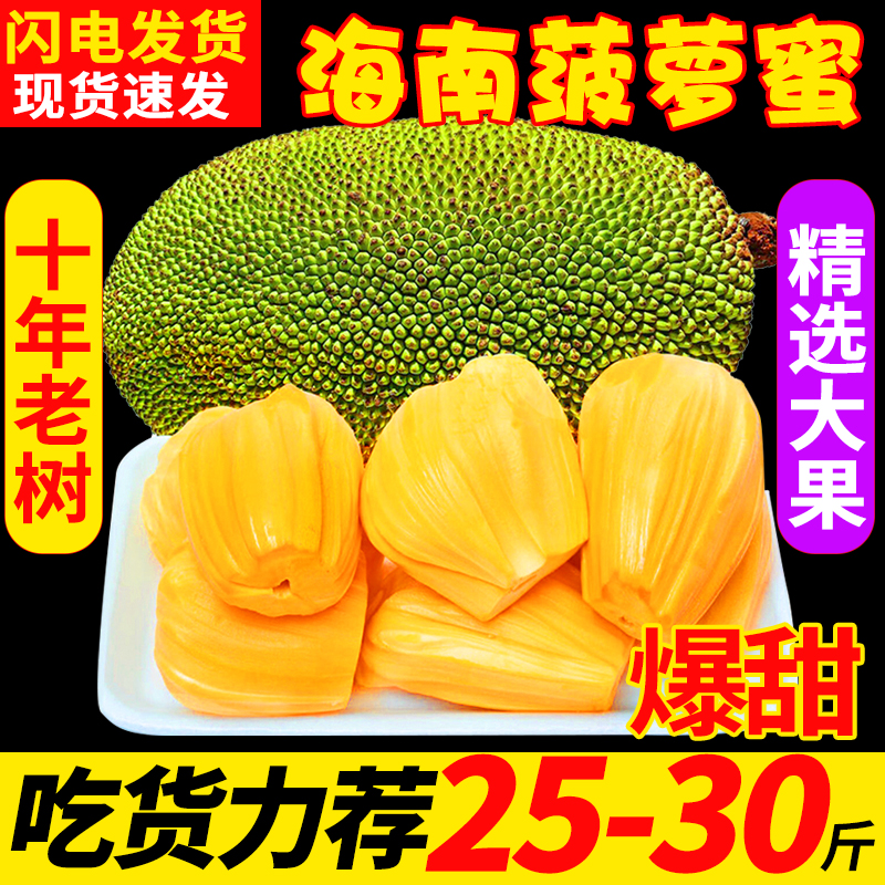 海南三亚菠萝蜜新鲜水果当季黄肉一整个整箱10-35斤木波罗蜜特产5