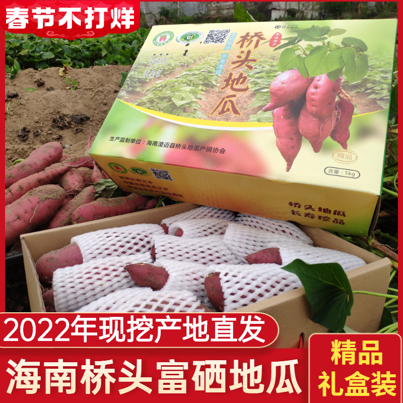 【礼盒装】海南省澄迈桥头富硒地瓜板栗薯新鲜红薯农家自种精品果