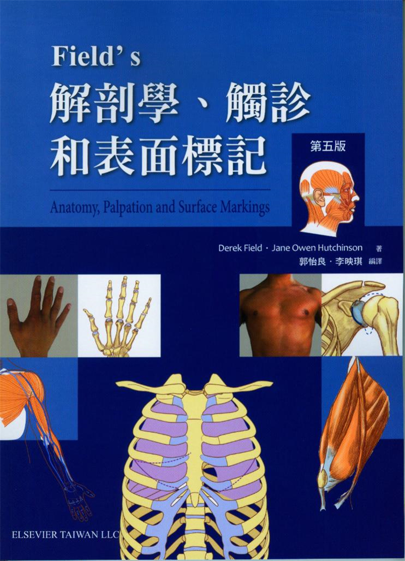 预售正版 Fields 解剖学、触诊和表面标记 13 合记 郭怡良 医学进口原版