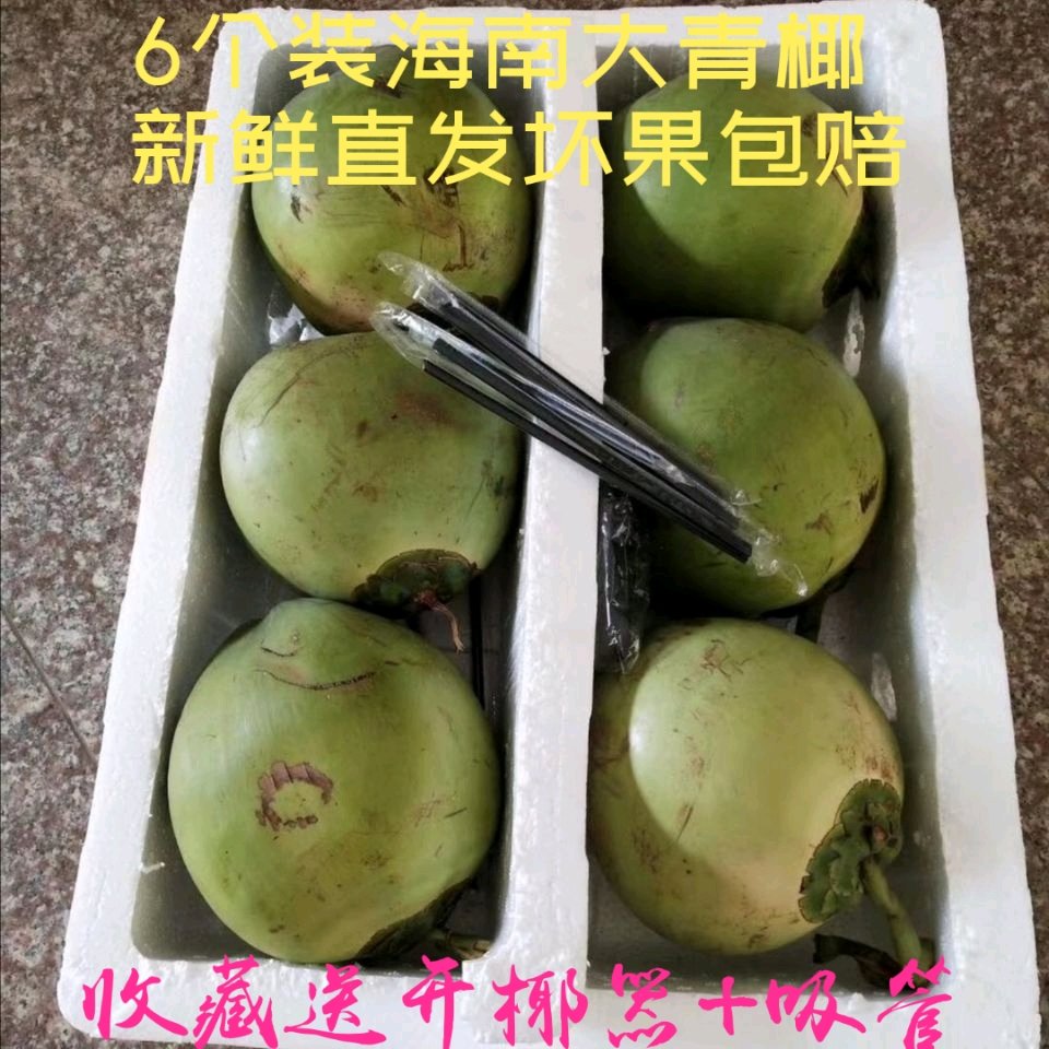 6个装海南特产青椰子新鲜当季热带水果椰皇椰宝椰青椰汁全国包邮