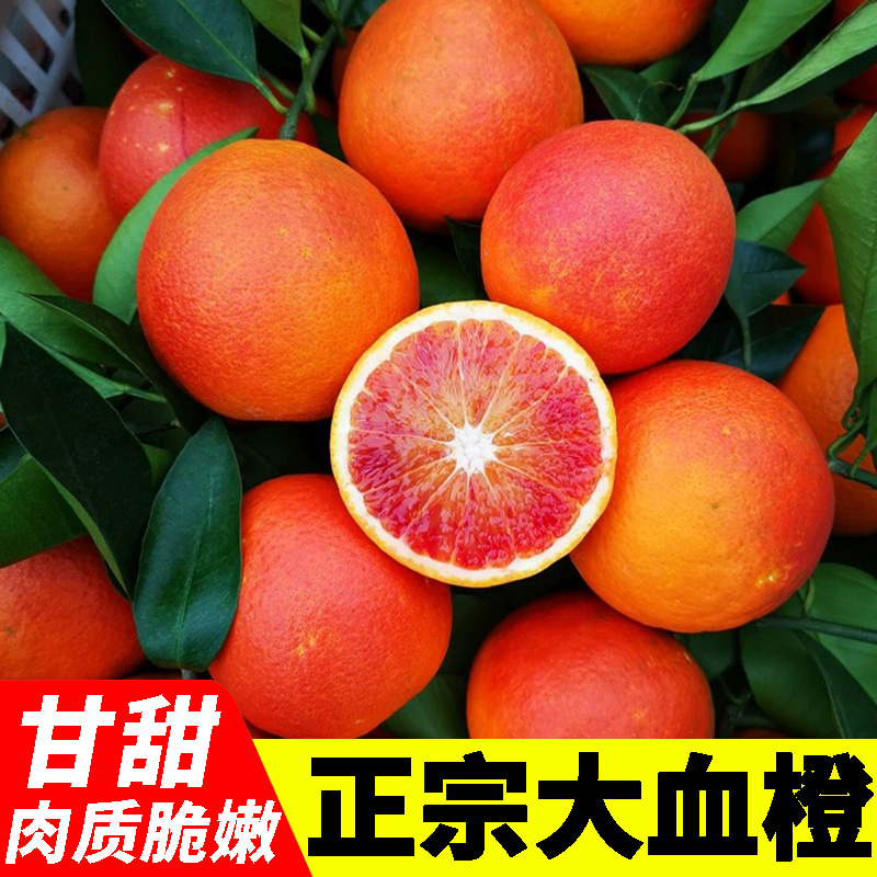重庆中华红血橙 新鲜水果当季血橙子 手剥橙红心橙营养橙