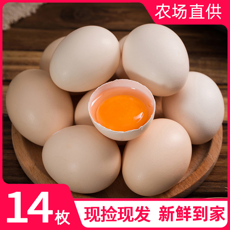 农家林下散养鲜鸡蛋14枚柴鸡蛋正宗土鸡蛋农村笨鸡蛋初生蛋