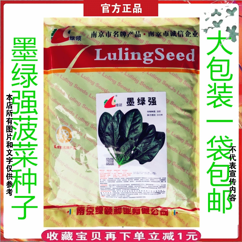 菠菜种籽孑南京墨绿强大黑叶菠菜种子6斤抗热耐寒厚叶抗病蔬菜籽