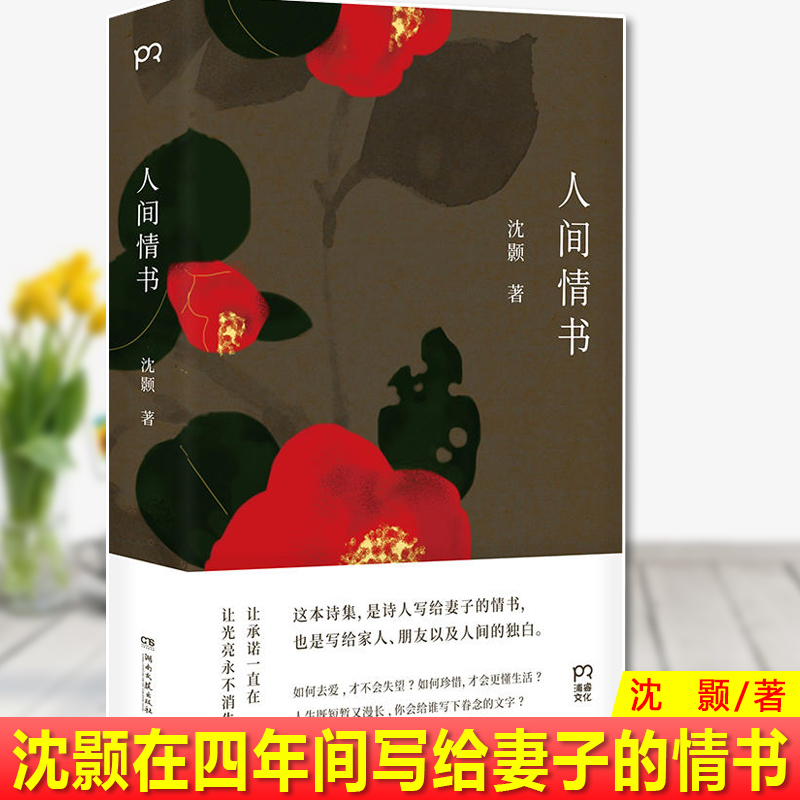 现货正版 人间情书 沈颢 诗人沈颢在四年间写给妻子的情书，也是写给家人、朋友以及人间的独白 湖南文艺出版社