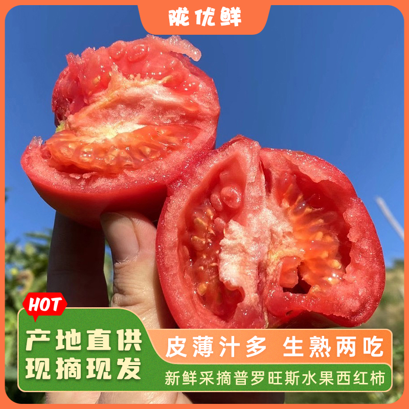 【陇优鲜】陕西正宗普罗旺斯西红柿生吃当季自然熟沙瓤番茄新鲜