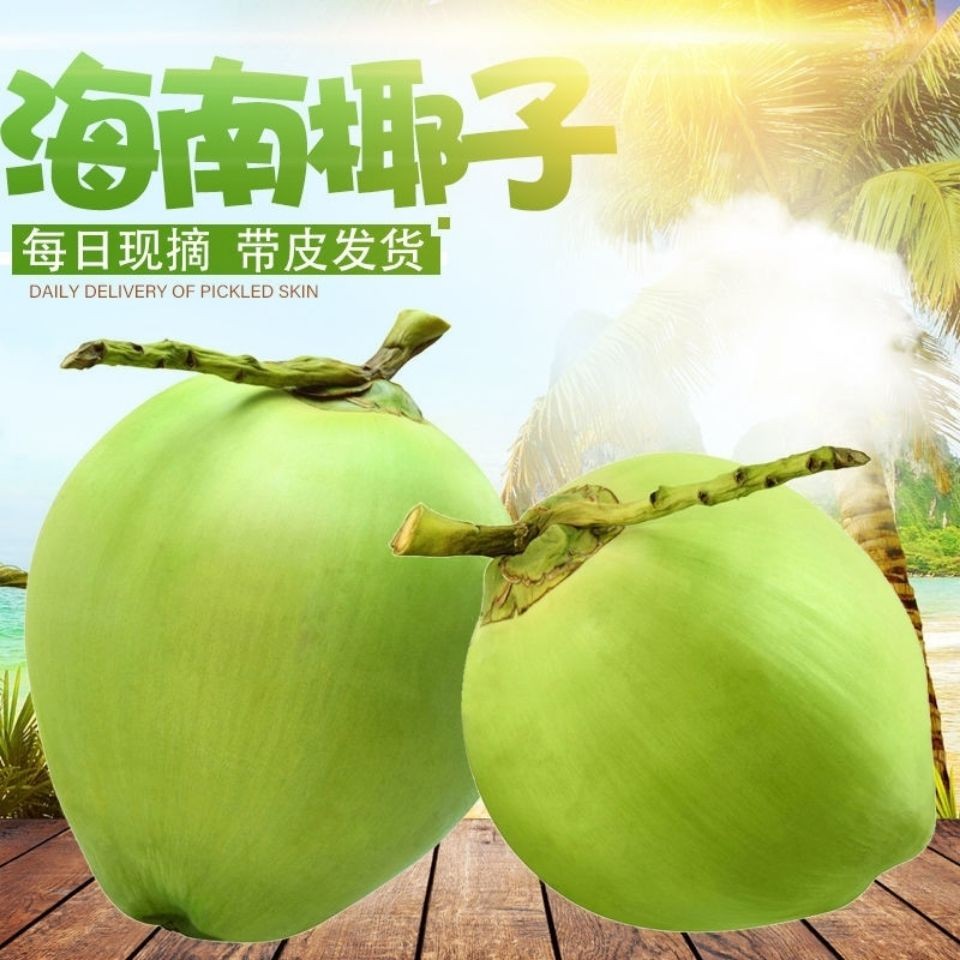 2个装海南特产青椰子新鲜当季热带水果椰皇椰宝椰青椰汁全国包邮