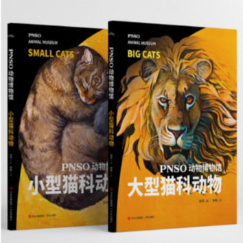 正版图书PNSO动物博物馆:大型猫科动物+小型猫科动物共2册赵闯（绘） 杨杨（文）青岛9787573600318