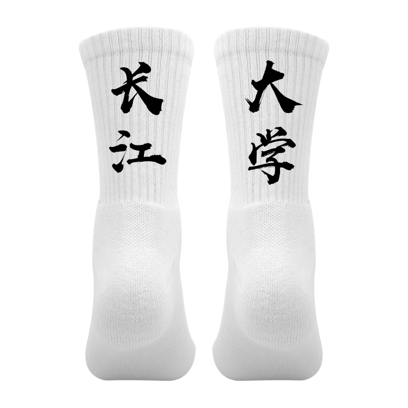 大学校名字称袜子定制印文字个性袜篮球队运动袜男毛巾底长江大学