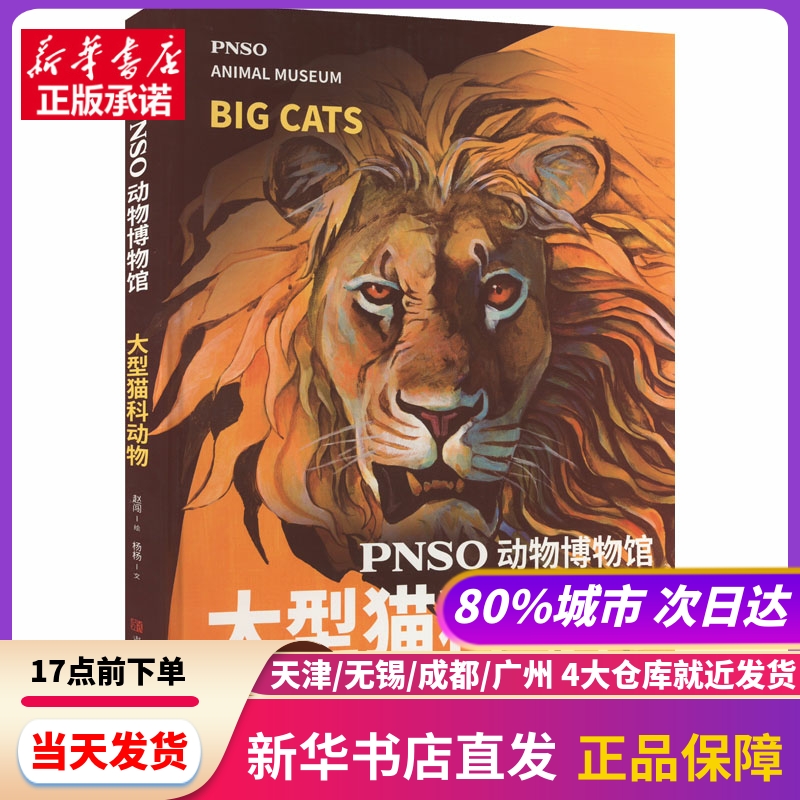 PNSO动物博物馆 大型猫科动物 杨杨 青岛出版社 新华书店正版书籍