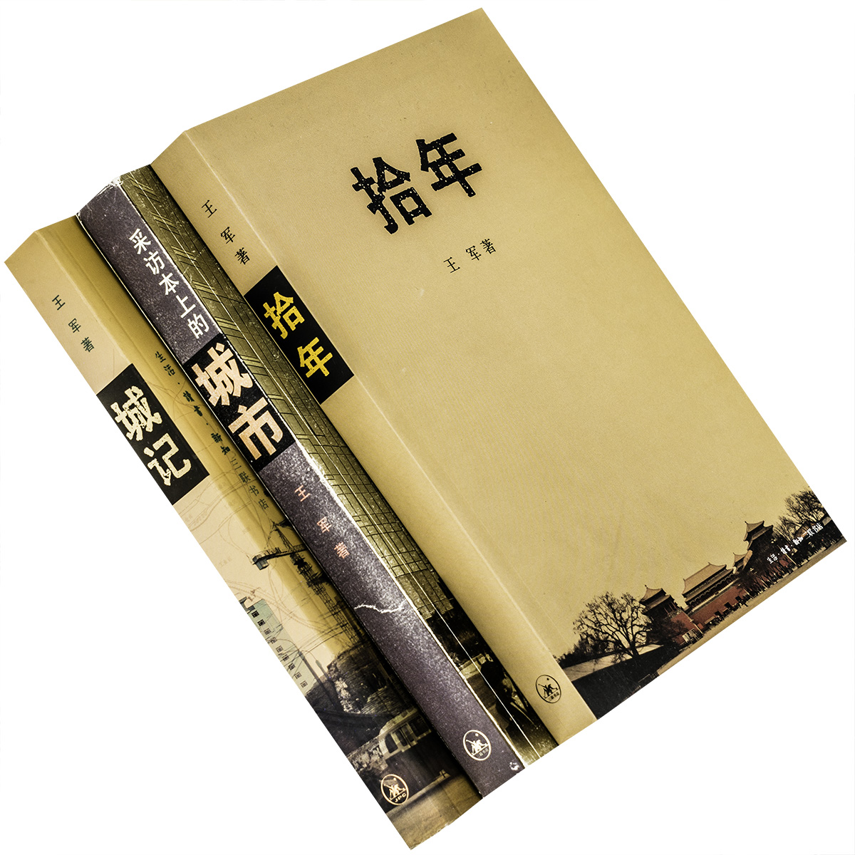 拾年+城记+采访本上的城市 全3册 王军 北京 城记 中国城市发展三部曲 三联书店 正版书籍 老版