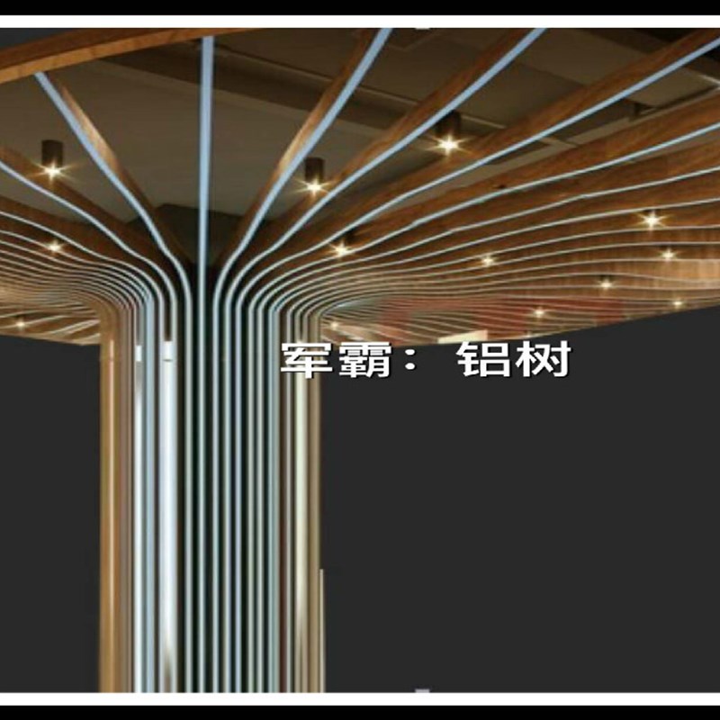 推荐广东 铝挤型材料 铝合金铝板 铝树 幕墙造型 装饰木纹铝方管