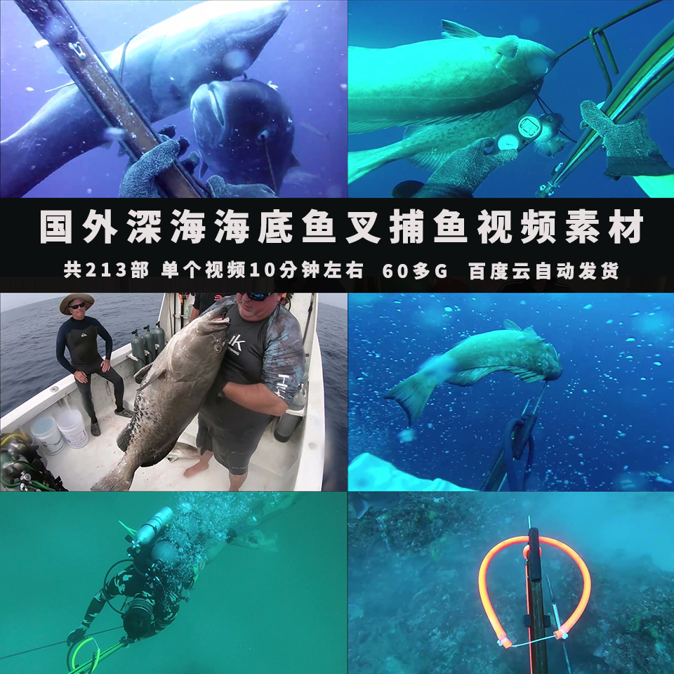 国外深海海底鱼叉捕鱼抓鱼自媒体中视频计划视频素材