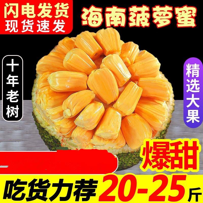 海南三亚菠萝蜜新鲜水果波罗蜜当季整箱特产20-40斤一整个包邮红
