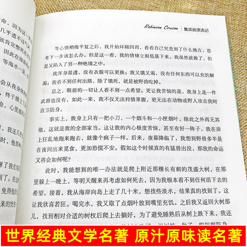 鲁滨逊漂流记 (英)丹尼尔·笛福 外国文学名著读物 文学 北京日报出版社