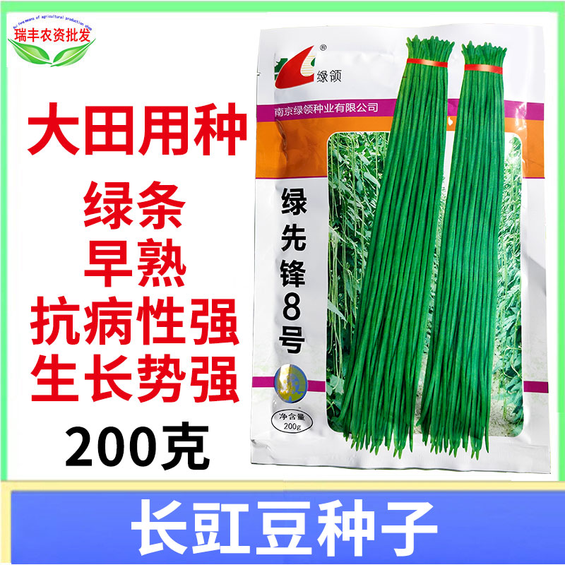 绿领绿先锋8号豇豆种子青条豆角籽绿色抗病正品南京种子春秋蔬菜