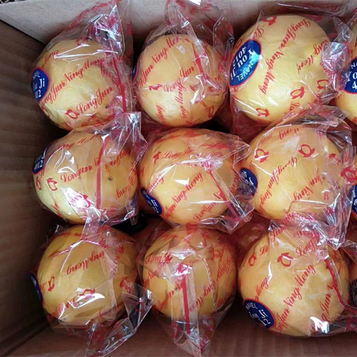 30斤精选彩袋包装一级果商用推荐安岳黄柠檬皮薄汁多包邮