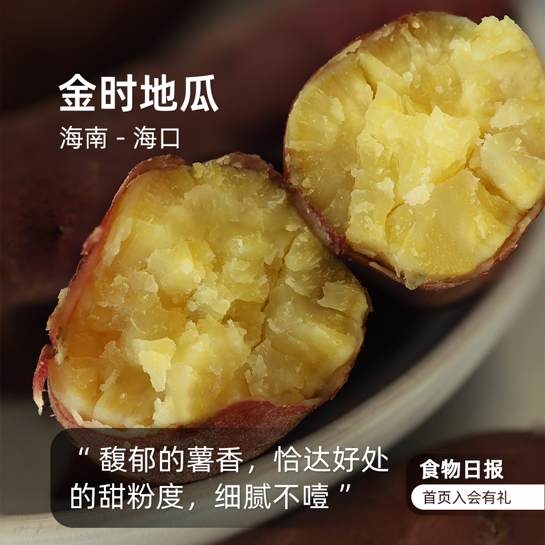 食物日报 鸣门金时地瓜日本板栗薯日引品种香甜粉面板栗口感红薯