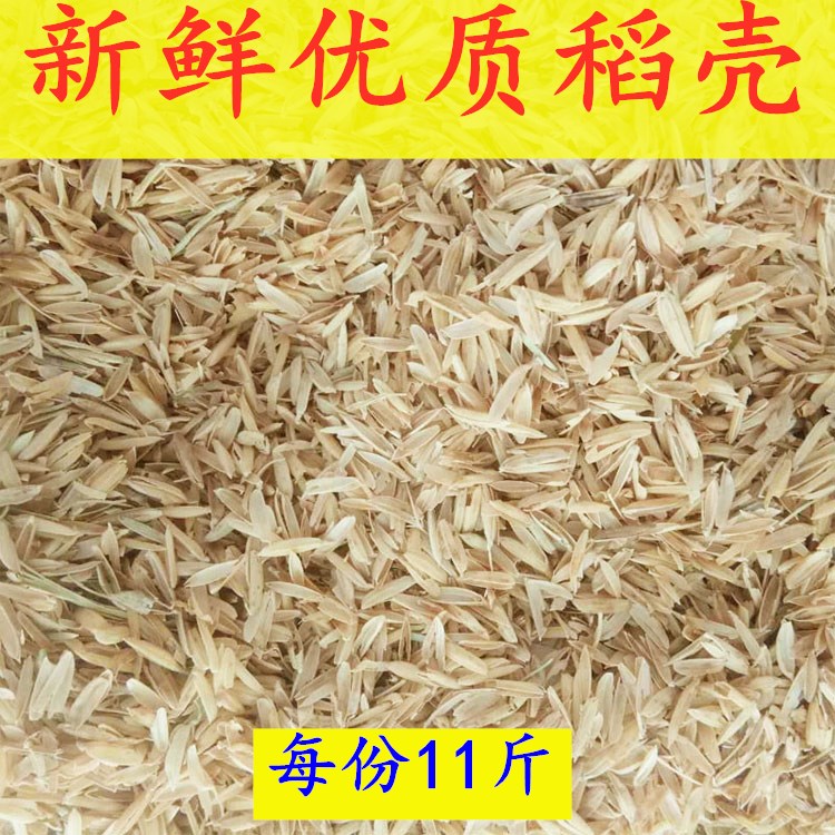 东北新鲜稻壳水稻谷壳皮宠物垫料枕头芯防震填充酿酒熏肉肥料发酵