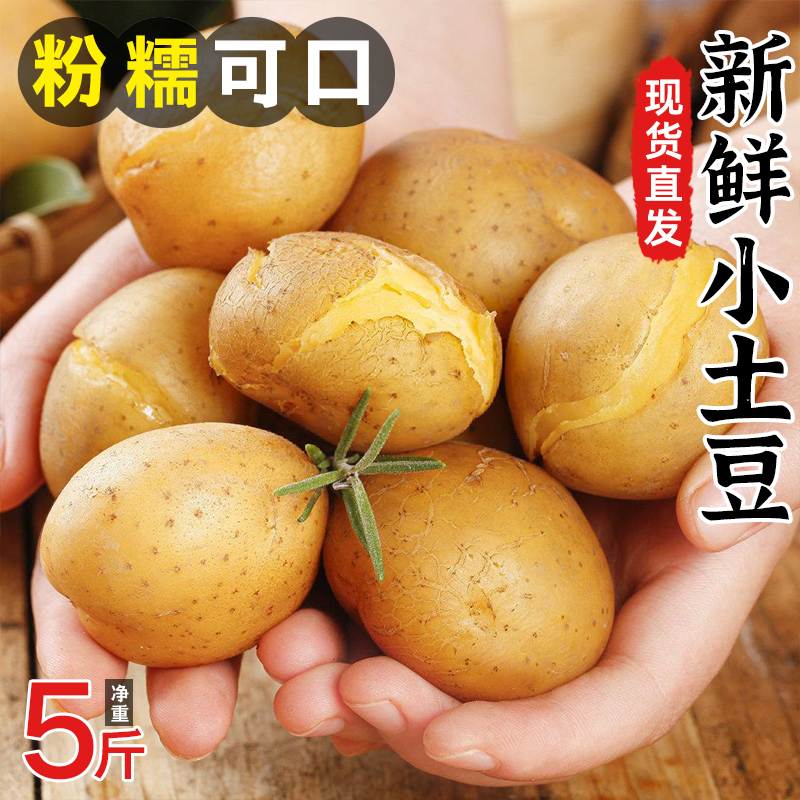 云南新鲜马铃薯农家迷你小土豆自产现挖农家自种洋芋黄心土豆包邮