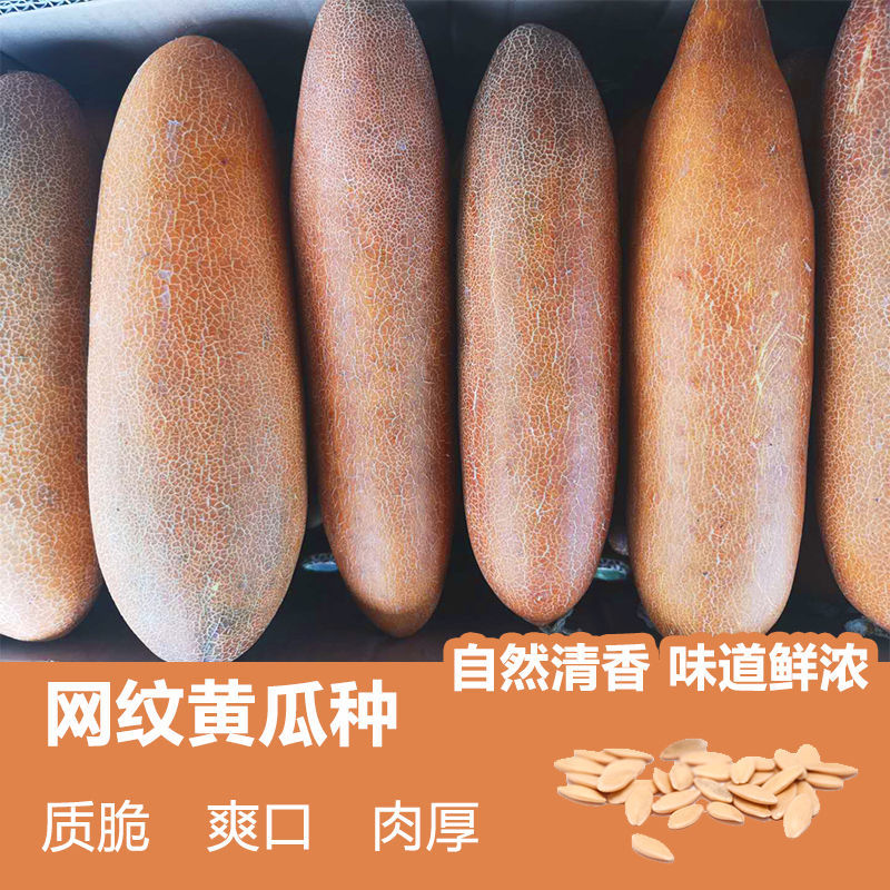 东北老黄瓜新鲜黄皮农家蔬菜特产特大老黄瓜种特产5斤9斤包邮现摘